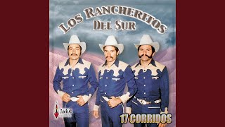 Vignette de la vidéo "Los Rancheritos Del Sur - El Aguila Real"