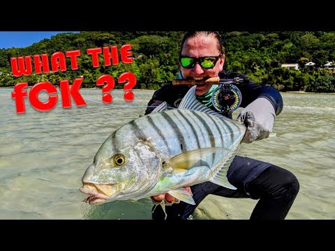 FISHING in PARADISE | Fly Fishing SEYCHELLES