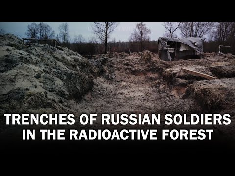 Окупанти і Рудий ліс: наслідки у найбільш забрудненій частині Чорнобиля | Український свідок