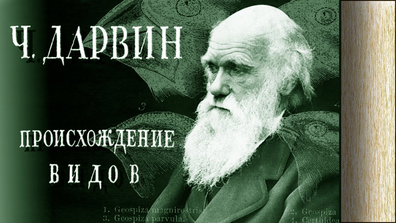 Семья Дарвина. Дарвин биология. Естественный отбор Дарвин. Дарвин с 7 до 73 лет.