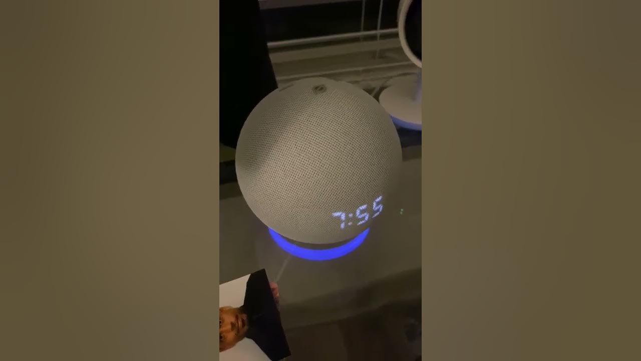 How to make Alexa play Fart noises. YouTube