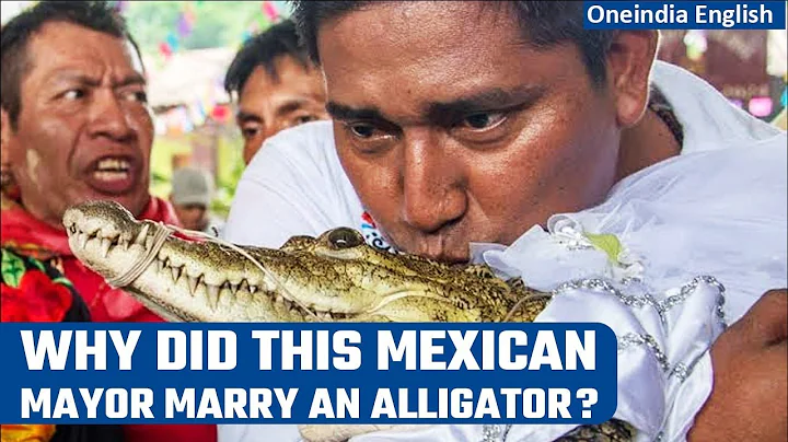 Mexican mayor marries alligator dressed as a bride as part of ancient ritual | Oneindia News - DayDayNews