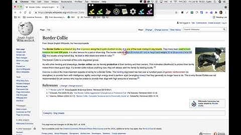 Using the Highlighting tools in read&write for the Mac desktop.