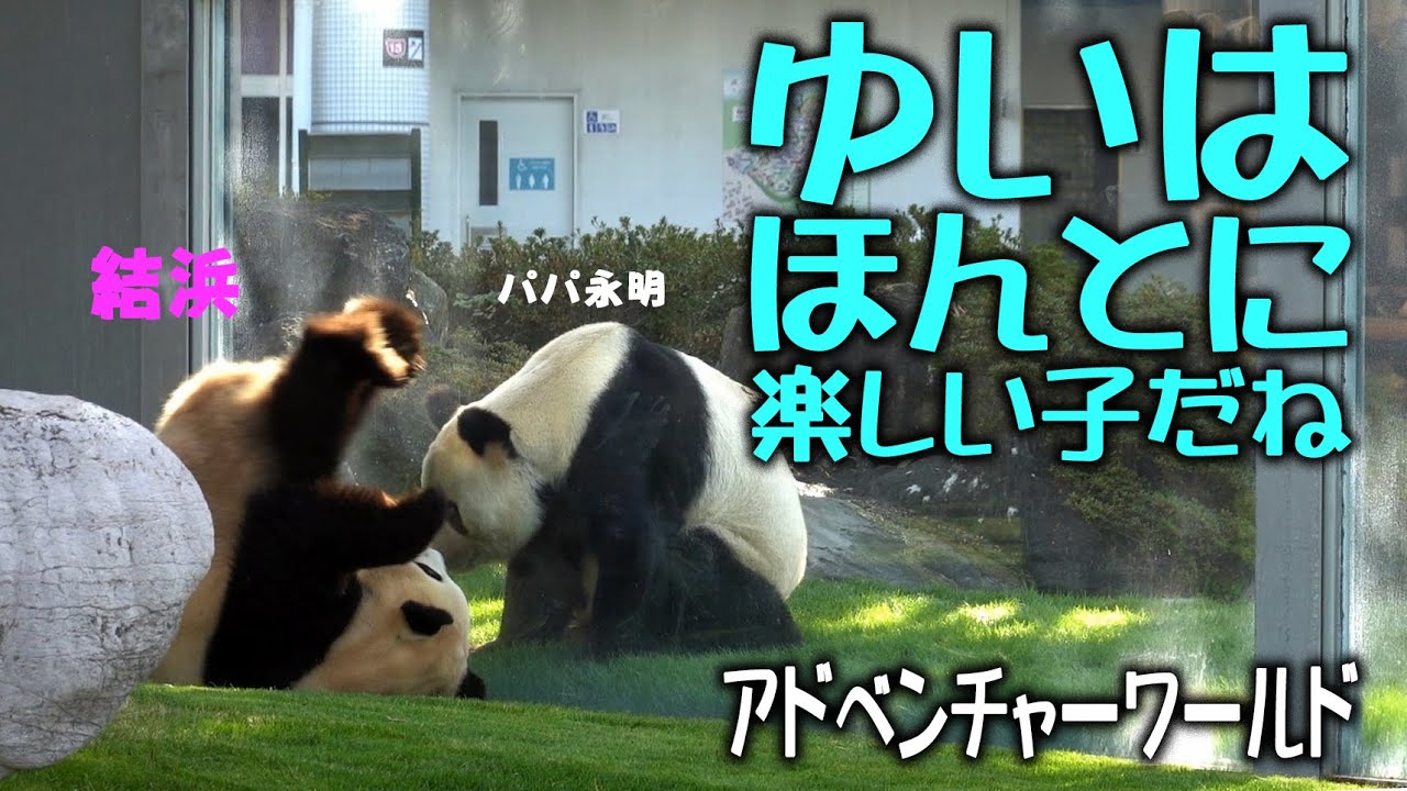 【ゆいはほんとに楽しいこだね～】永明くんがしっかりと我が子の成長を褒めてあげている