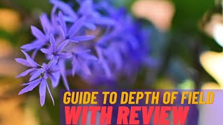 Dof photo-assignment & review screenshot 2