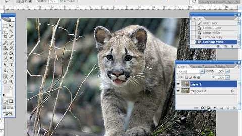 Photoshop Selective Sharpening Using a Mask