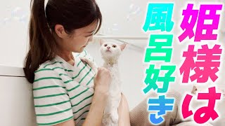 お風呂好きな庭子猫をシャンプーしたら気持ち良すぎて最高に可愛いお顔に…笑[三毛母猫の子猫]