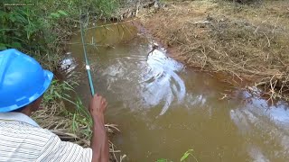 Mancing menggunakan umpan ulat bambu @petualangborneo wono