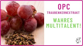 ✅OPC TRAUBENKERNEXTRAKT EIN WAHRES MULTITALENT✅ 5 Wirkungen, die du kennen solltest!