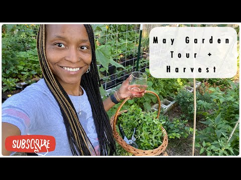 Small Space Gardening | May Garden Tour plus Harvest