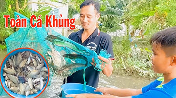 Cách Thăm Lú ( 12 cửa ngục ) Mùa Nước Nổi Toàn Cá Khủng #thanhhaumaycat.01