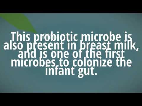 Video: Abordarea Nutraceutică Pentru Gestionarea Riscului Cardiovascular - O Combinație Care Conține Probiotic Bifidobacterium Longum BB536 și Extract De Orez Roșu Cu Drojdie: Rezultă Din