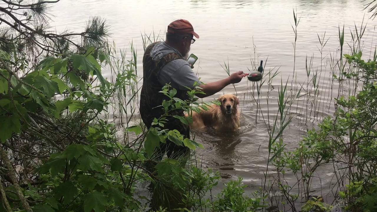 CASEY DECOY RETRIEVAL #1 5/22/18