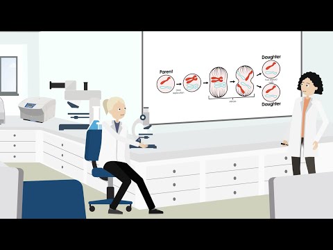 What if cell division goes wrong? The story of lysosomes in mitosis