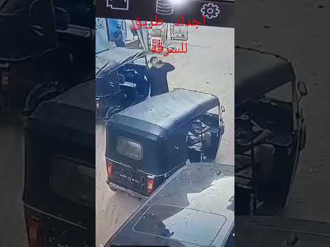 اجداد طرق السرقه شير في الخير اكسبلور