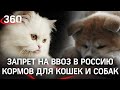 Ветеринарные корма для кошек и собак запрещено ввозить в Россию - постановление Россельхознадзора