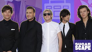 5 Things You Might Not Know About One Direction