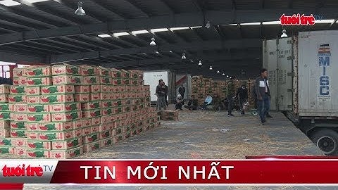 ⚡ Tin mới nhất | Thanh long xuất sang Trung Quốc ùn ứ ở biên giới