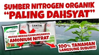 Download Lagu DIJAMIN LANGSUNG SUBUR.❗❗ SUMBER NITROGEN ORGANIK DENGAN KANDUNGAN AMONIUM DAN NITRAT | Ultradap MP3 Download Lagu DIJAMIN LANGSUNG SUBUR.❗❗ SUMBER NITROGEN ORGANIK DENGAN KANDUNGAN AMONIUM DAN NITRAT | Ultradap MP3