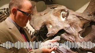 Download Lagu The Jurassic Park Podcast - Episode 448: Aquilops | DINO DNA with Conor O'Keeffe and Dr. Andrew... Download Lagu The Jurassic Park Podcast - Episode 448: Aquilops | DINO DNA with Conor O'Keeffe and Dr. Andrew...