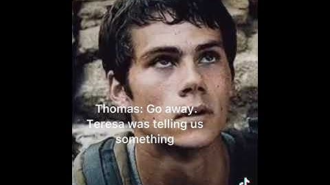 Gally story pt 25: The Gladers are ignoring y/n except Newt and Minho