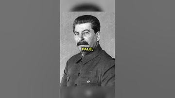 How Did Stalin React When Hitler Invaded Russia?