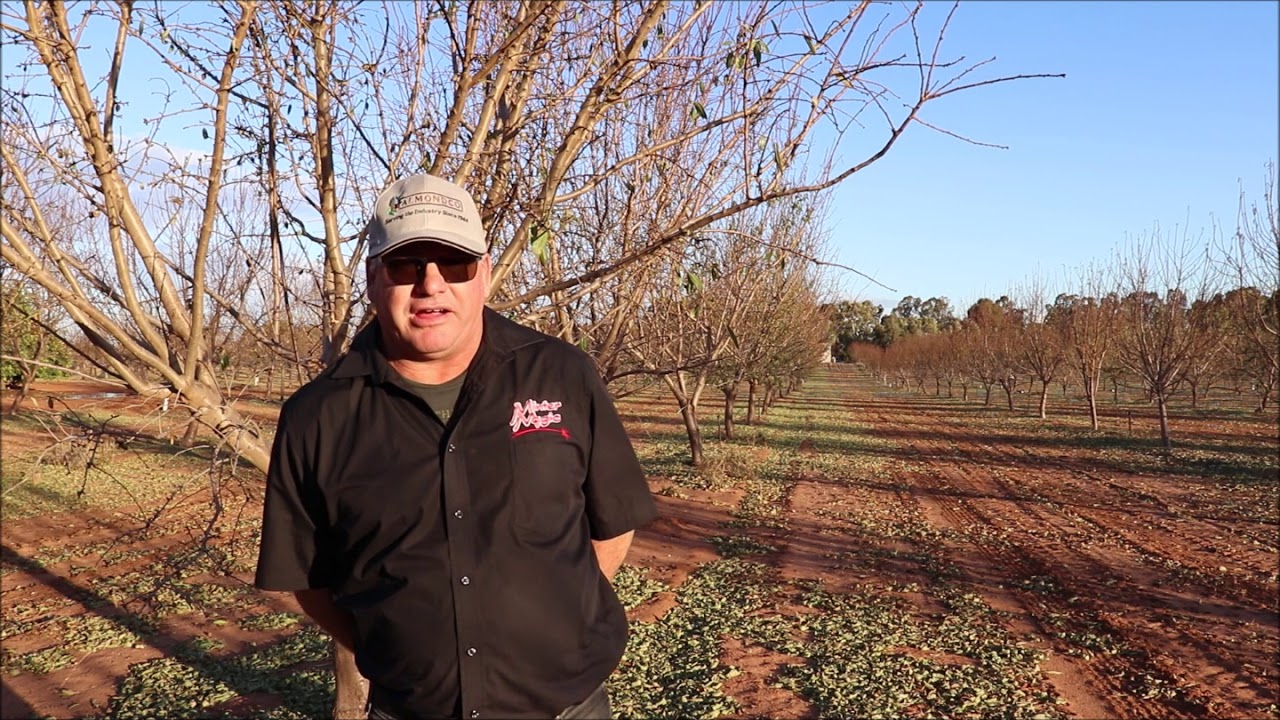 Almondco Season Update - Pre Bloom with Darren Minter, Sunraysia, Victoria.