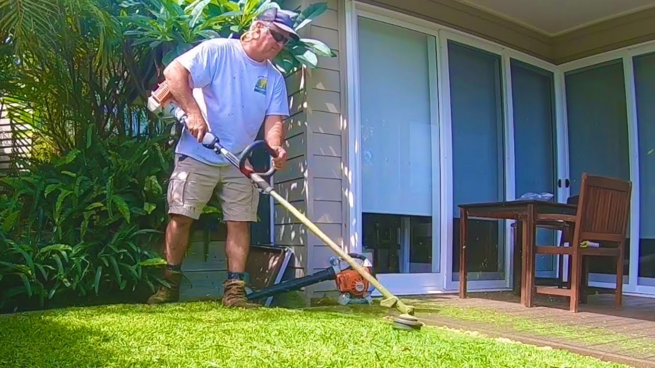 Line Trimming a small backyard No Lawn Mower required YouTube