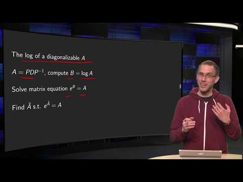 The logarithm of
