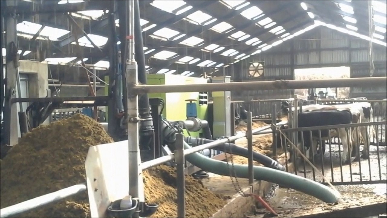 Güllemüller - Gülleseparation im Milchviehstall