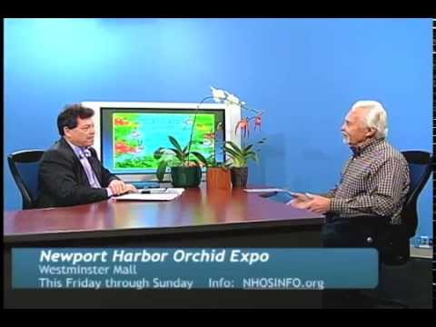 senior pictures Newport Harbor Orchid Expo