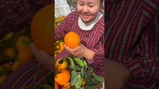 Orange Farming Profit | Santara Ki Kheti Se Kamai | High Yield Tips 🍊#facts #youtubeshorts