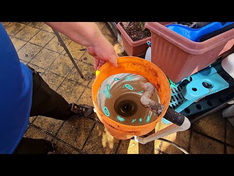 Dual Root Zone Teaser - Daryl's Vortex Brewer