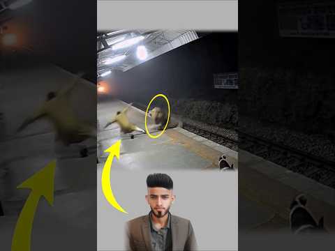 في لحظة غفلة كان الأسد على بعد خطوة ومع ذلك نجى بقدرة الله  