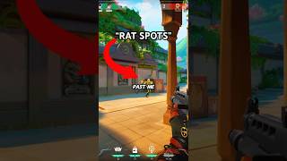 Why “RAT SPOTS” Work Against Aggressive Players...