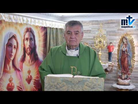 ¿Haces las Cosas por Dios o para que te Aplaudan?| Homilía, Miércoles XI Semana del T.O | P.Santiago