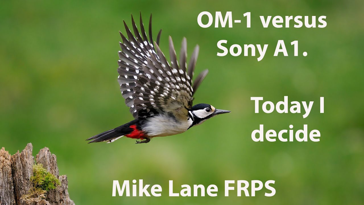 OM-1 или Sony A1. Сегодня я выбираю.