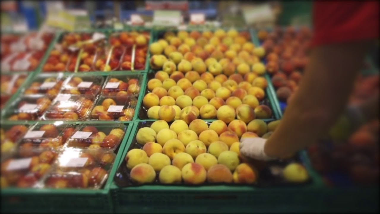 In viaggio per l'Italia con la UILTUCS