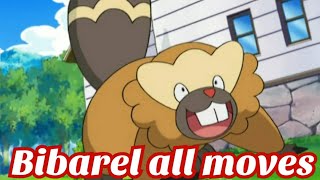Bibarel All Attacks & Moves Pokemon