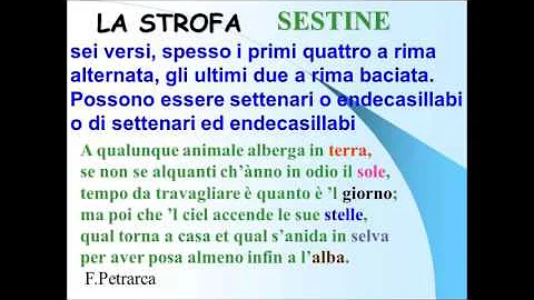 Come può essere la strofa?