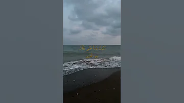 عبدالرحمن محمد ولكنني لما وجدتك راحلا بكيت دما حتي بللت به الثري 