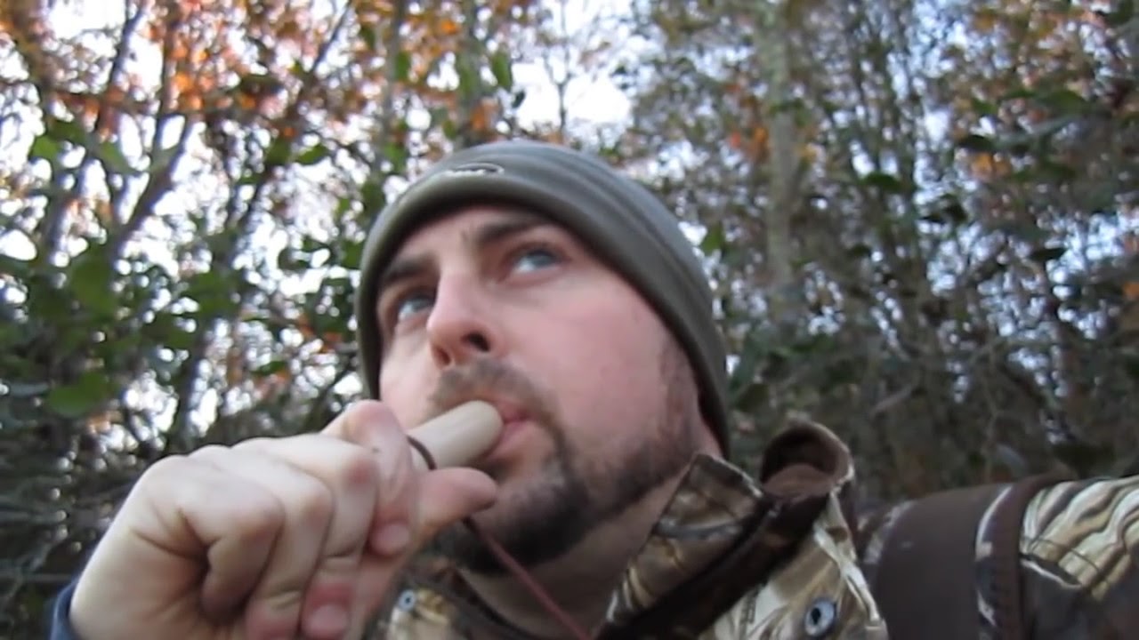 How to call Wood Ducks YouTube