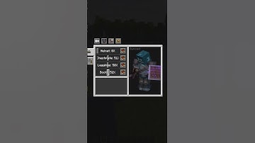Show Me Your Skin Mod Minecraft Java