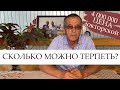 Сколько обходится золотой Пьянов труженикам «РОССИИ»