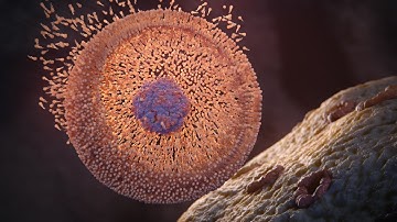 Random42 Science in Motion - Virus