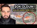 ŞOK OLDUM - GÖLDEKİ BALIKLAR KOCAMAN OLMUŞ !