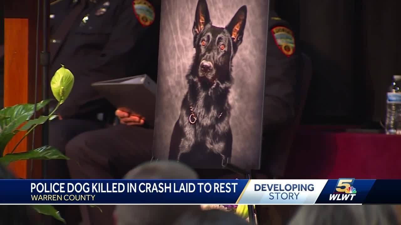 Police K-9 killed in line of duty; Fury remembered for his dedication, sacrifice