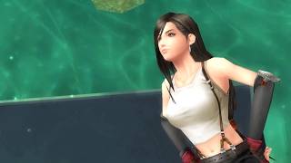 LVL 100 Tifa Vs LVL 30 Warrior of Light - Final Fantasy Dissidia 012
