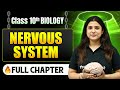 Nervous System Complete Chapter in One Shot | Class 10 Biology | ICSE Board