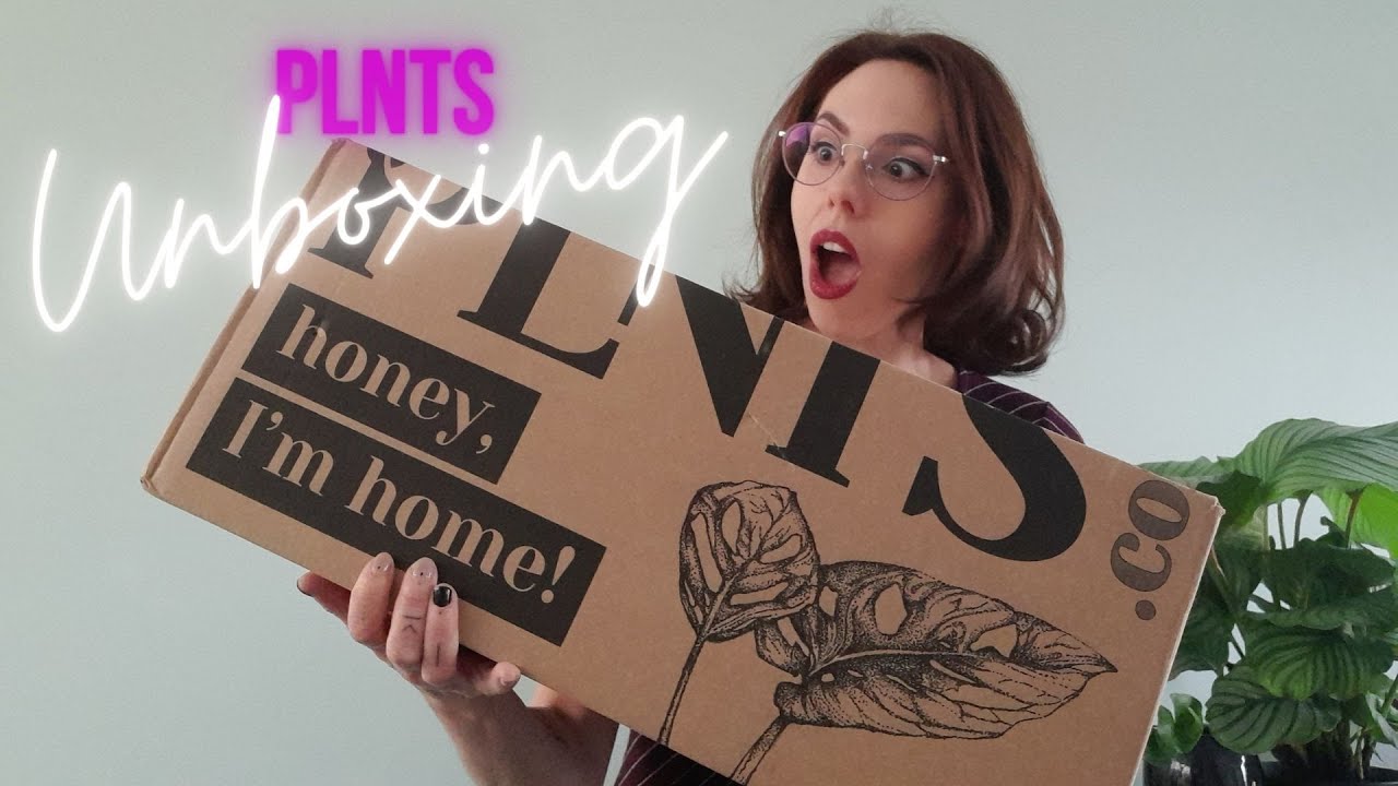 UNBOXING | PLNTS - Dans quel état sont-elles ?